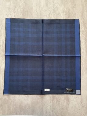 Tru Trussardi Dark and Royal Blue Checked Men's Pocket Square